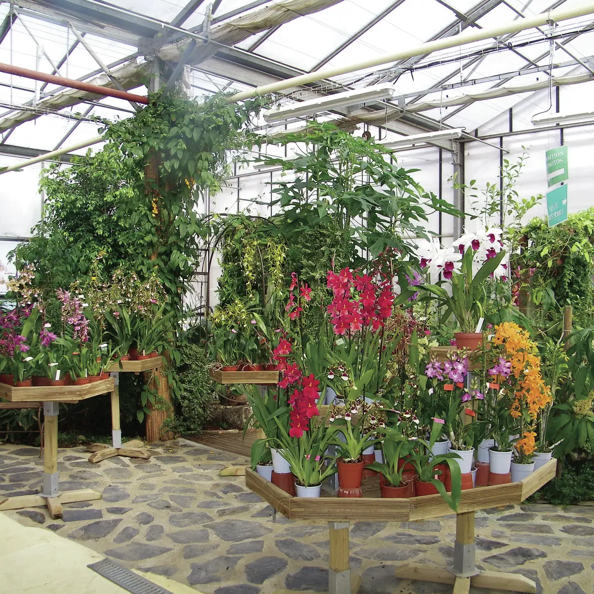 orchidium_fresnes