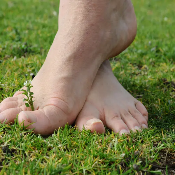 sentier-pieds-nues