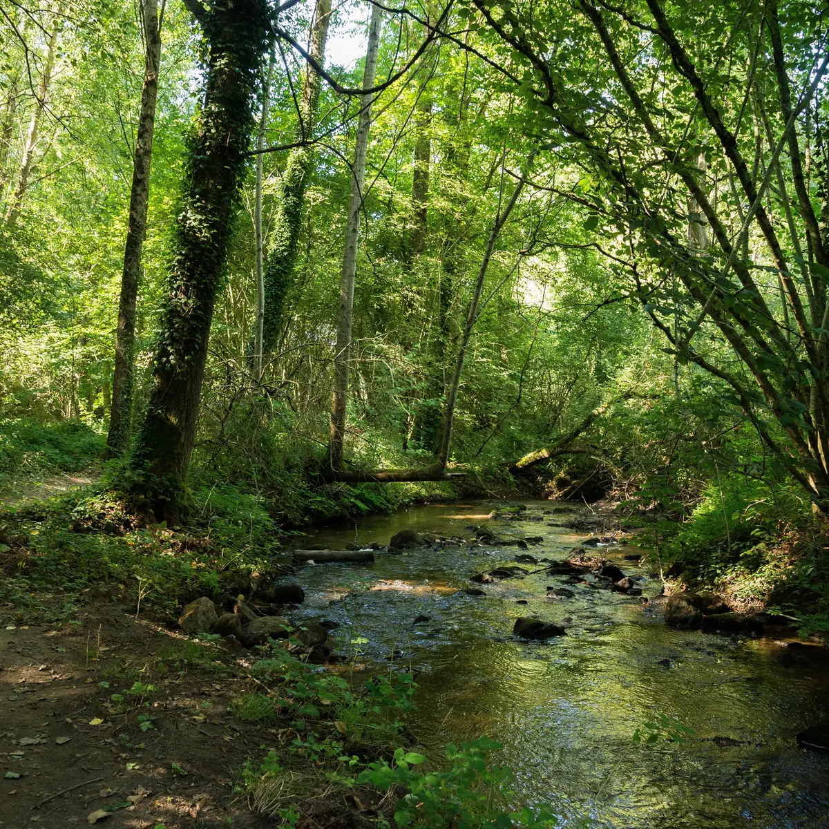 sentier Lancelot au pays de Lassay
