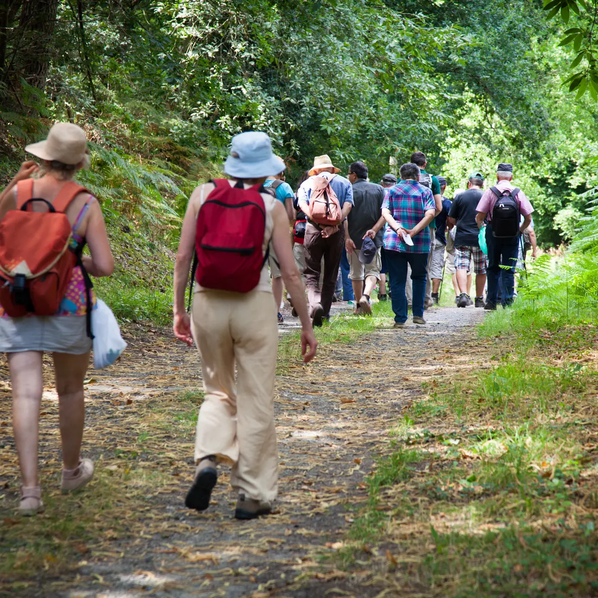 Randonnée pédestre. Montreui le Henri
