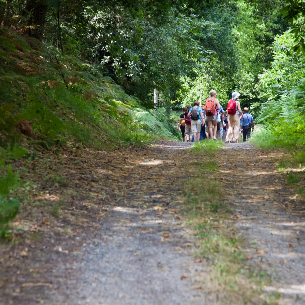 Randonnée pédestre. Montreui le Henri