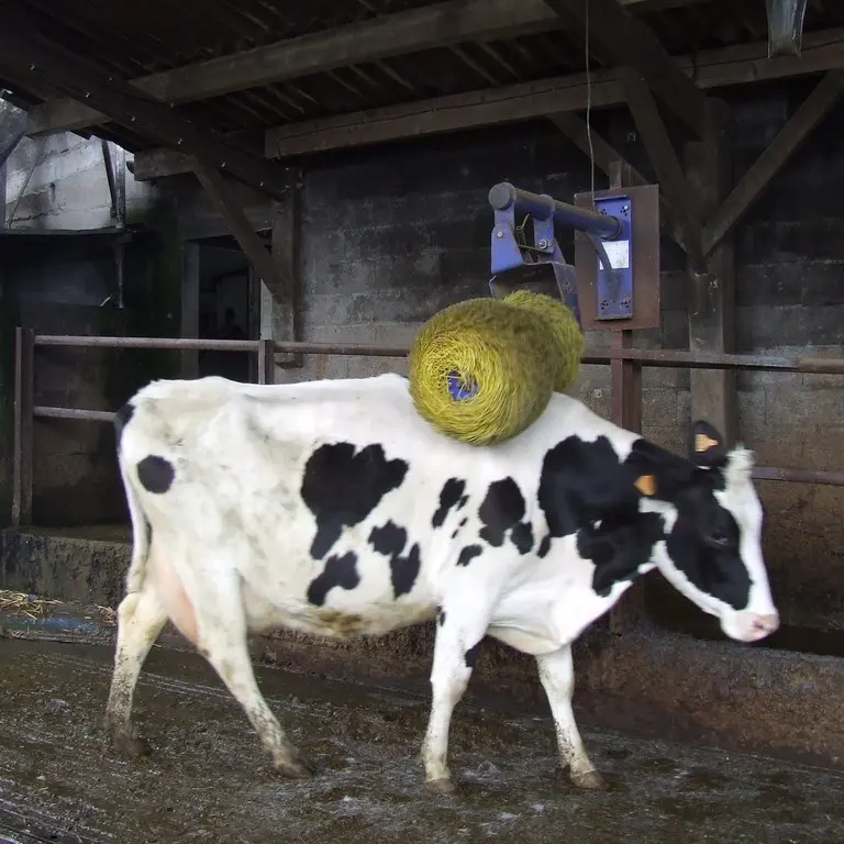 2014-activiteloisirs-fermelapequinire-laboissieredudore-44-