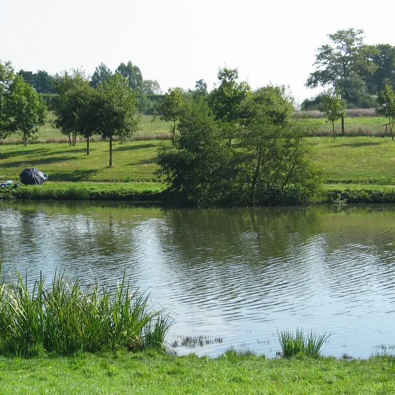 2015-circuitlelacdesvalleemarchesdevendee-vieillevigne-44-ITI (1)