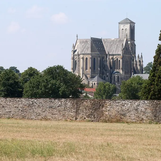 2015-circuitlelacdesvalleemarchesdevendee-vieillevigne-44-ITI (2)