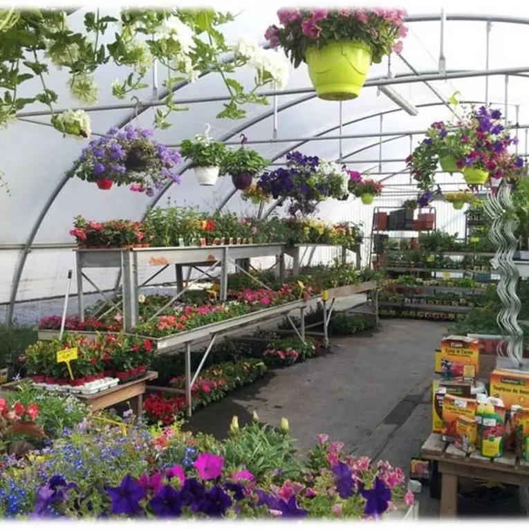 2015-degustations-terroir-ferme-val-fleuri-aigrefeuille-44-DEG--serre de vente jardinerie