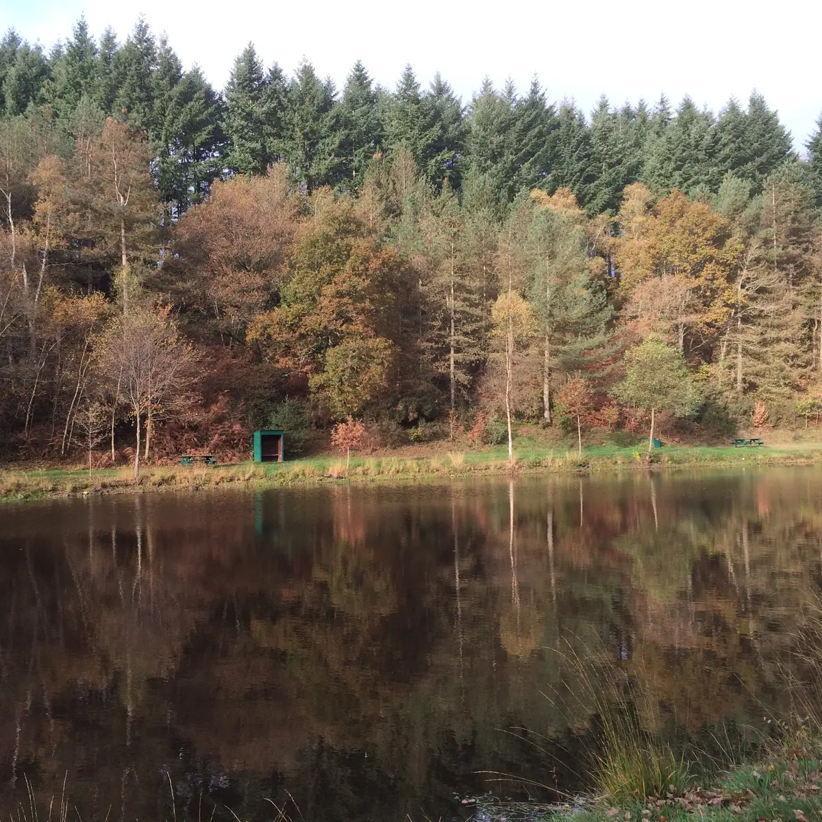 Etang-de-Bondi - Le Ham