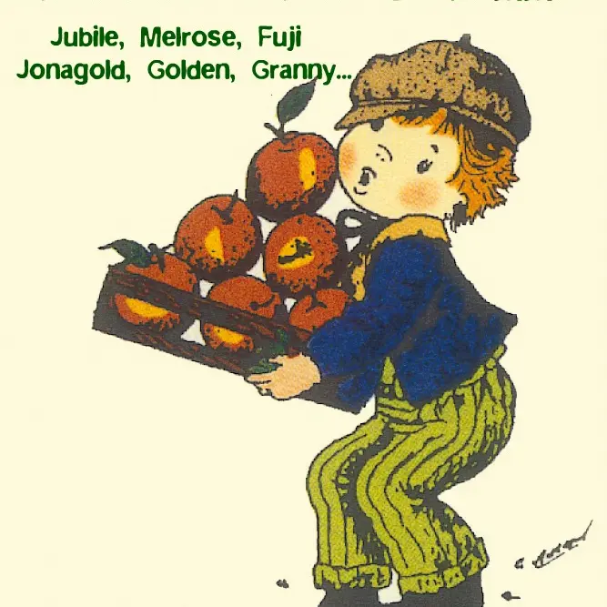 2016-cave-domaine-henri-poiron-maisdonsursevre-44--levignobledenantes-tourisme-DEG (5)