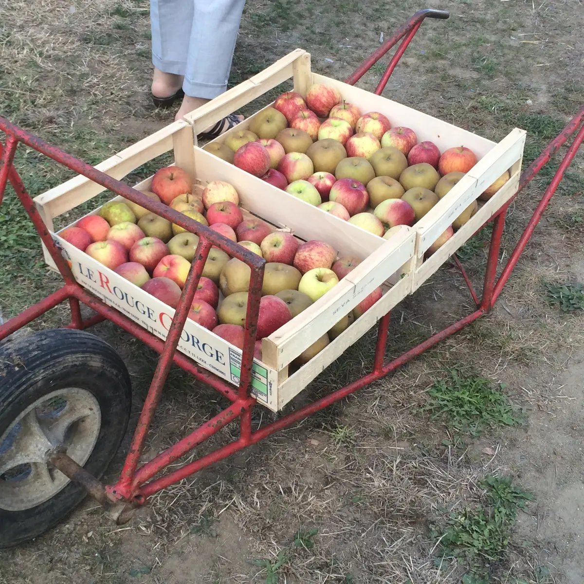 2016-cave-domaine-henri-poiron-maisdonsursevre-44--levignobledenantes-tourisme-DEG (8)
