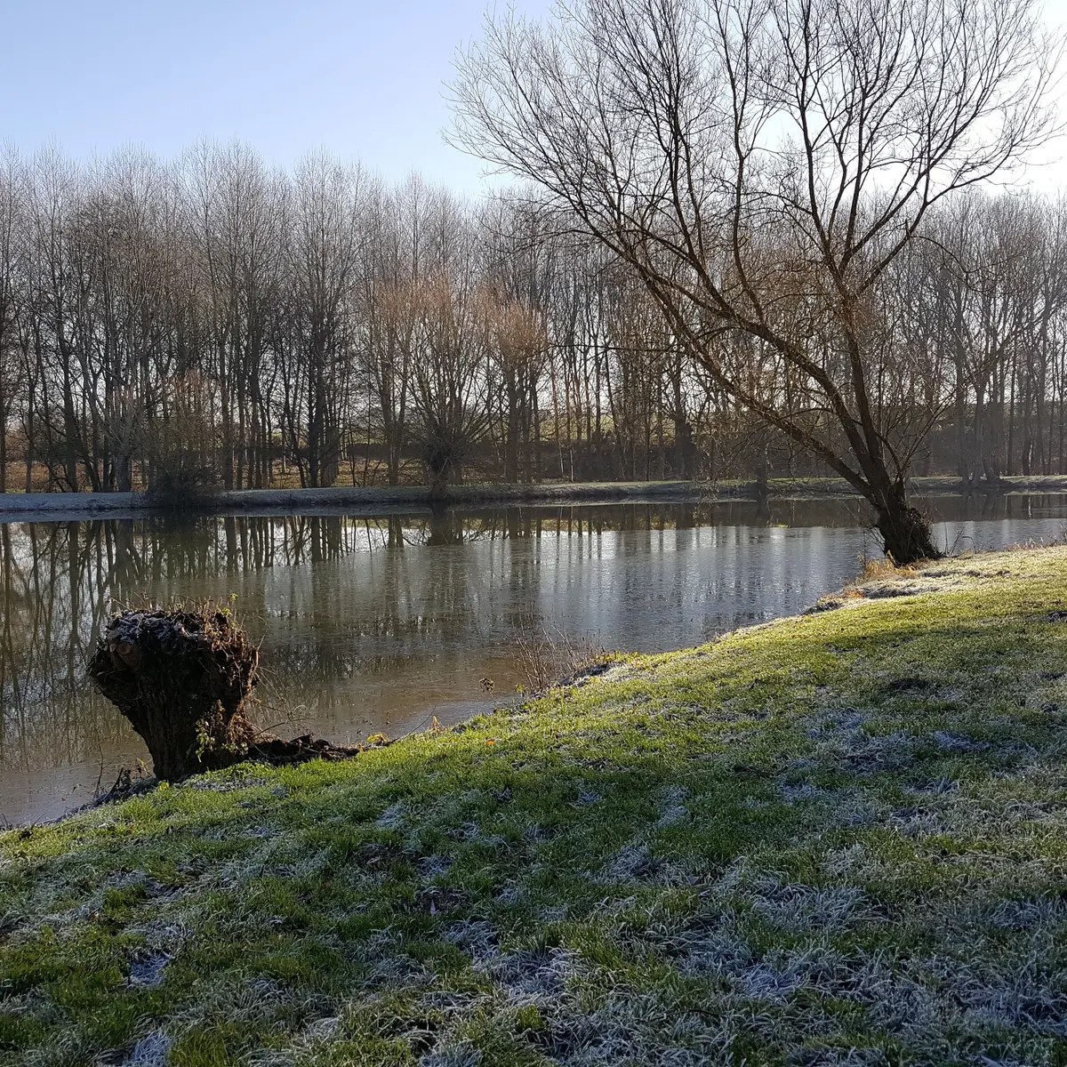 Plan d'eau de Chérancé