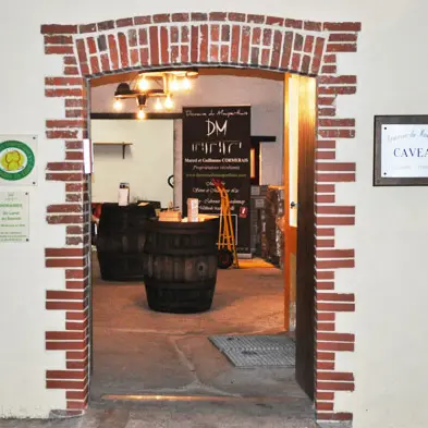 2017-domaine-mauperthuis-mouzillon-44-levignobledenantes-4