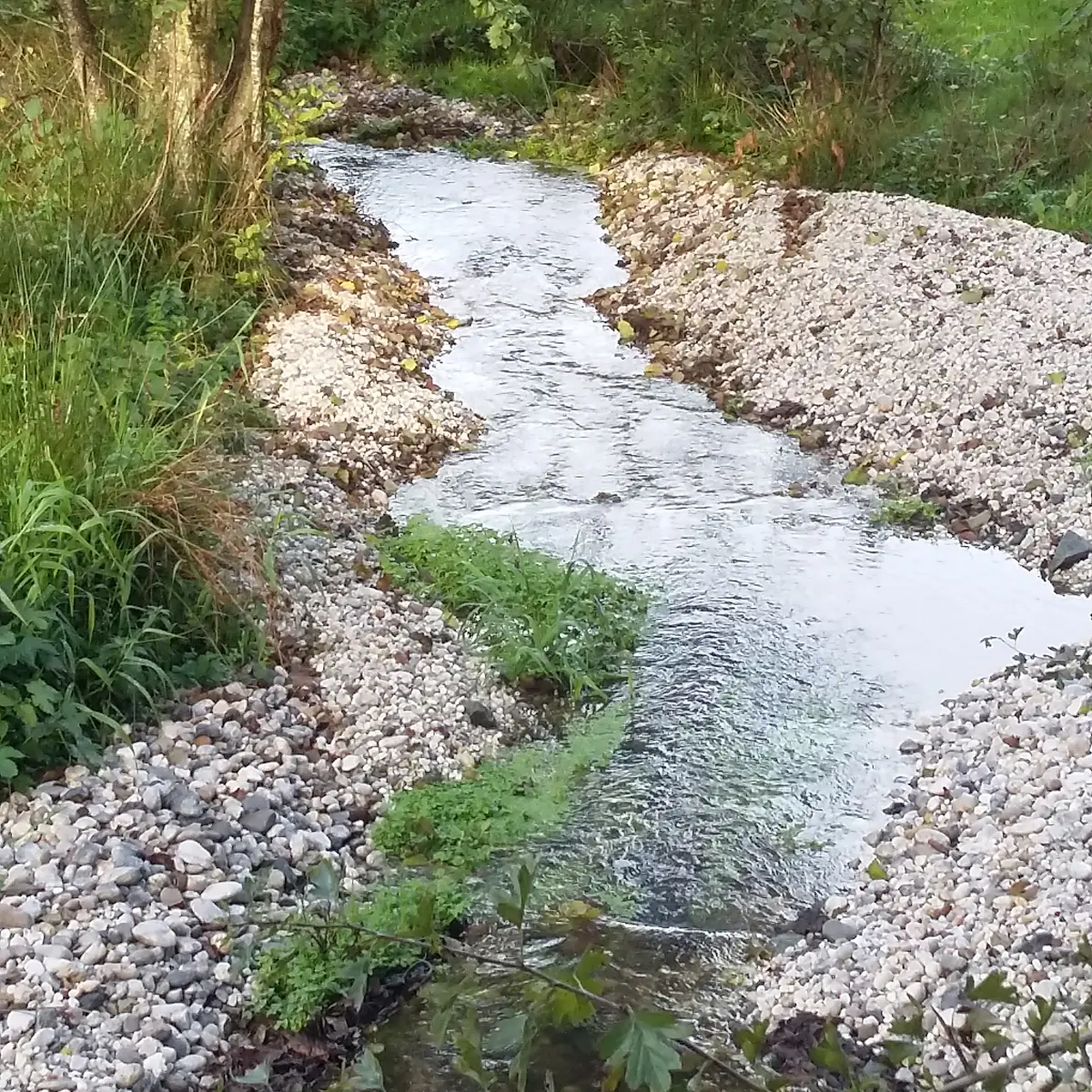 L'Aron - derrière l'EPAHD à Bais