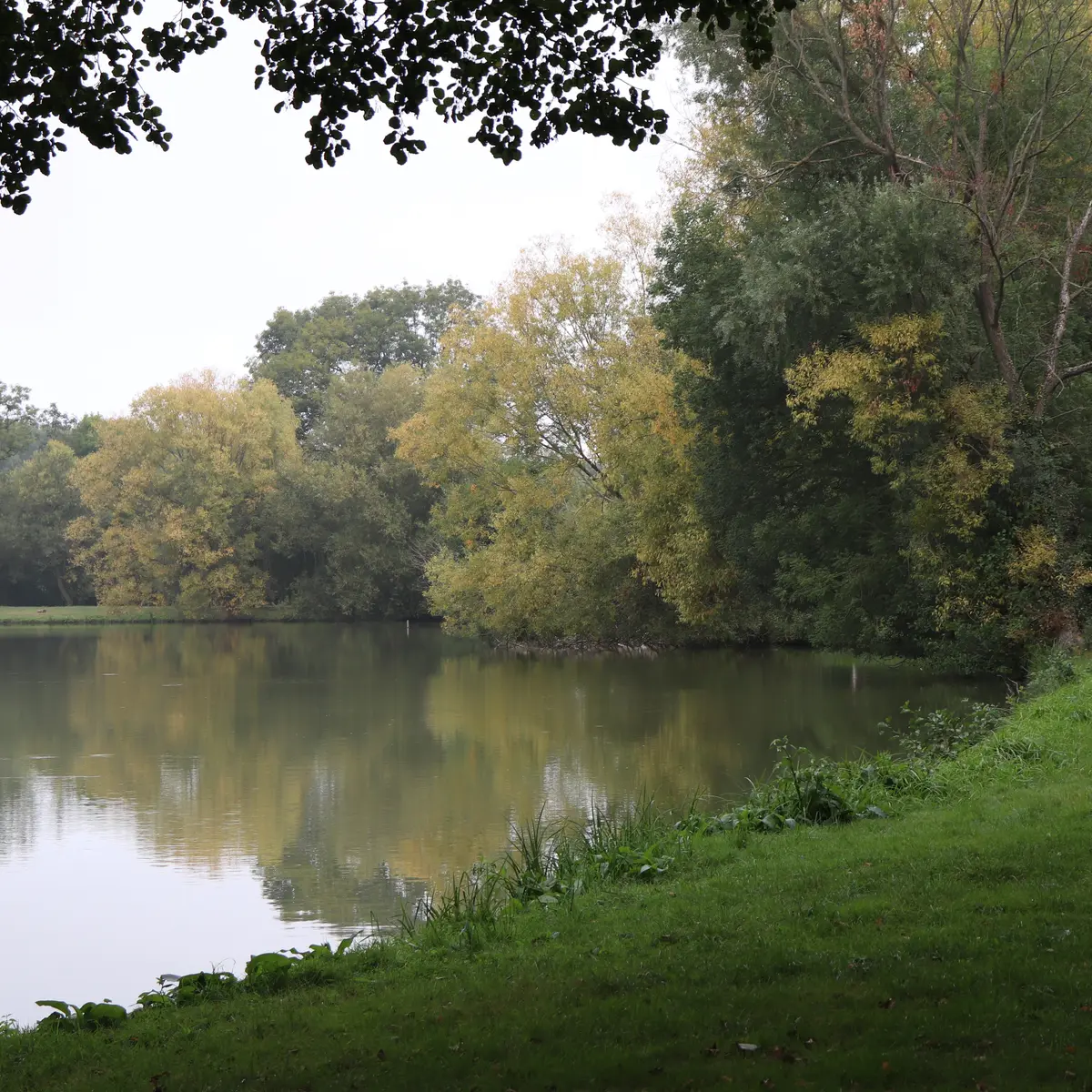 Plan d'eau de Chérancé