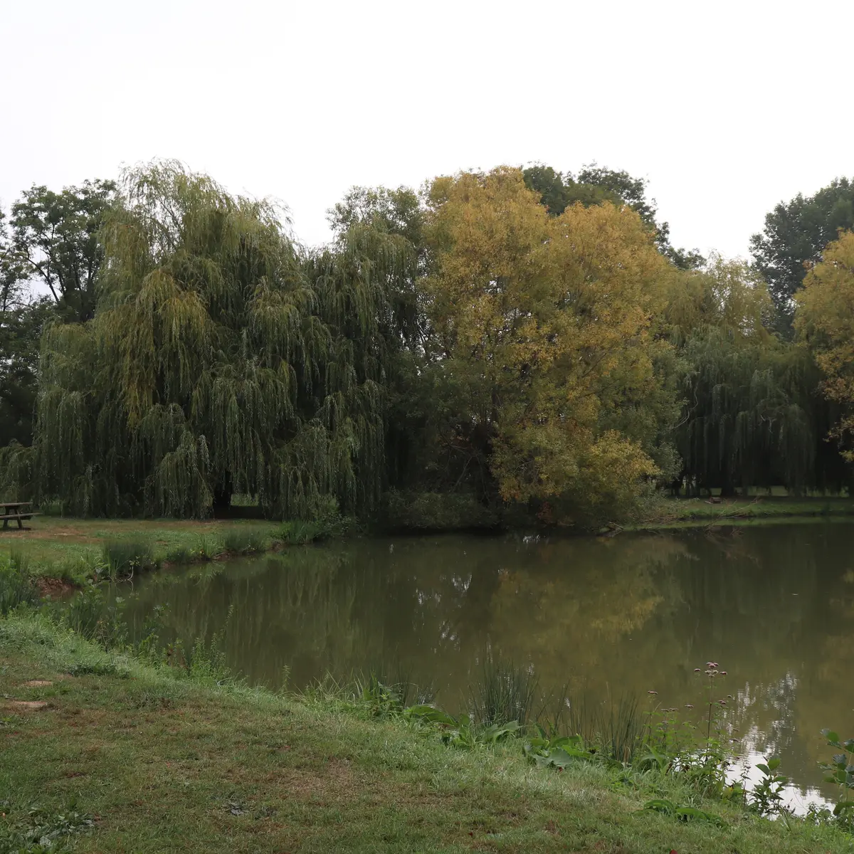 Plan d'eau de Chérancé