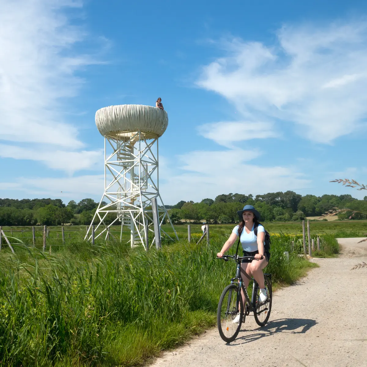 Nid-Observatoire du Marais du Fresnier