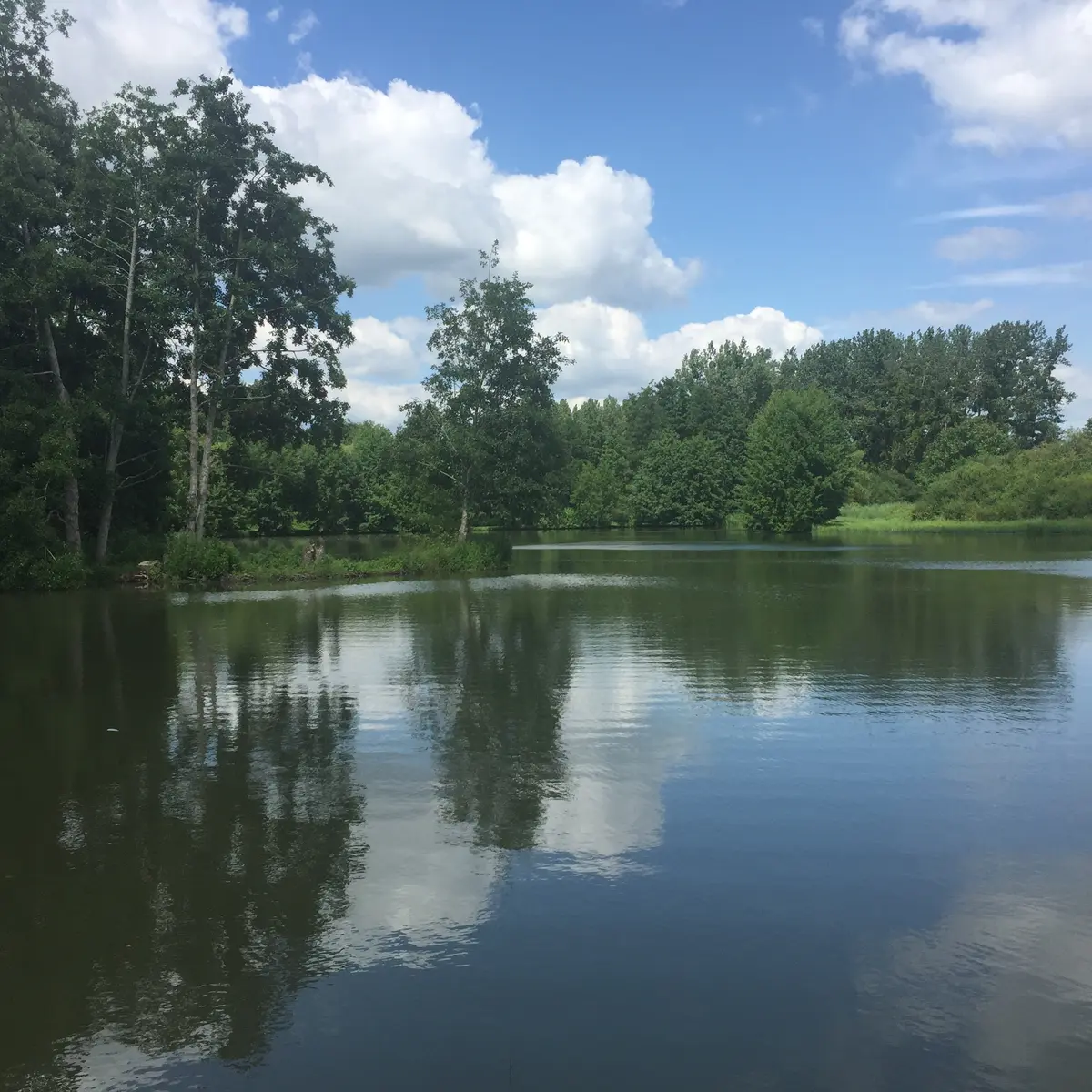 Randonnée pédetre. Mansigné