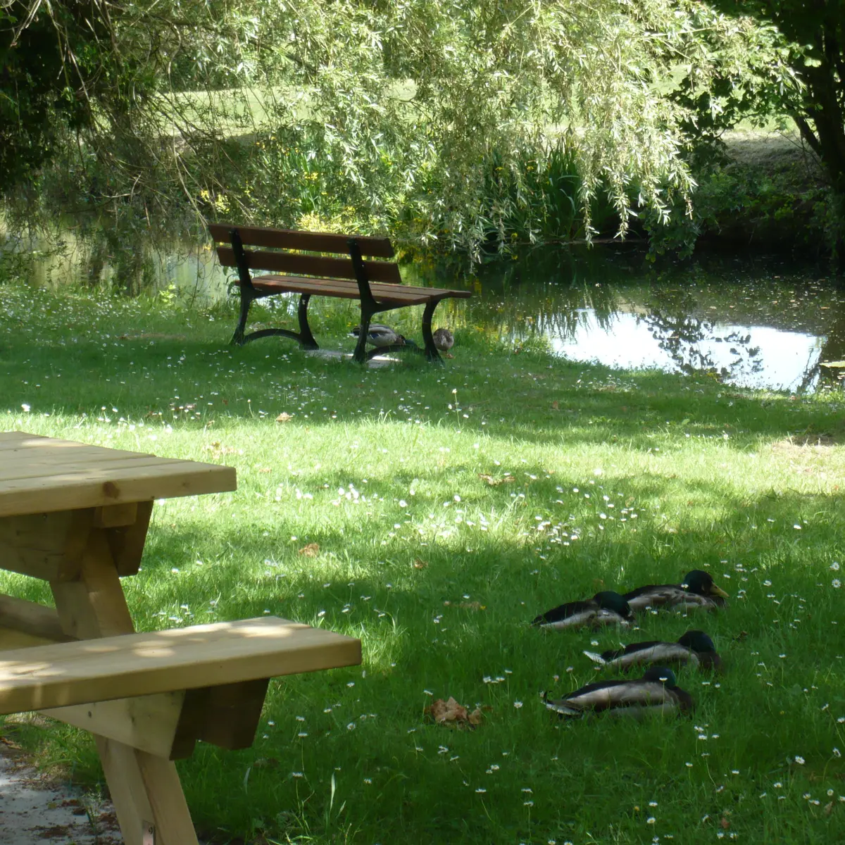 Aménagement plaine de loisirs