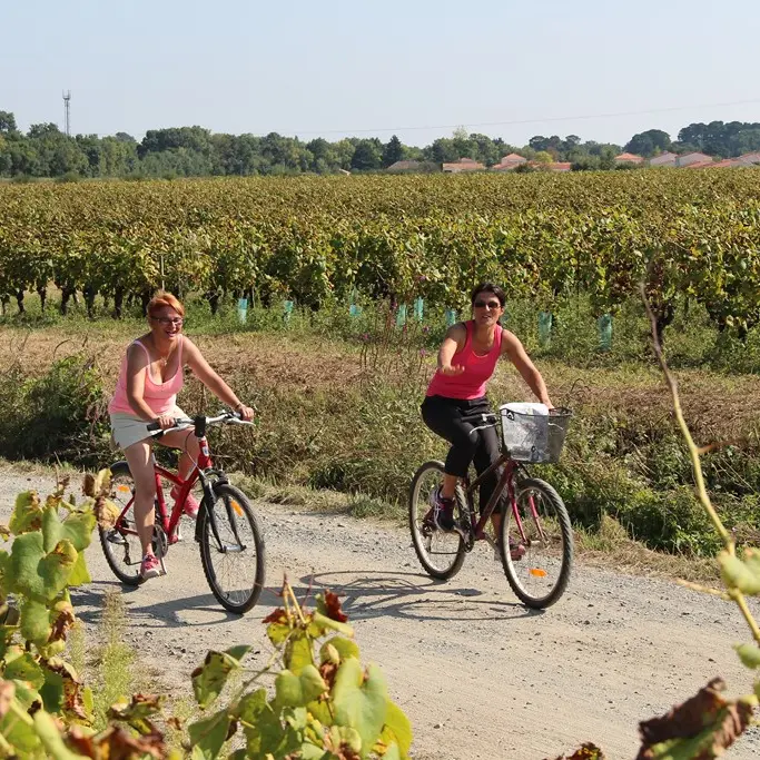 Boucle-vignoble-a-velo-ville-terroirs-mouzillon-44-ITI  (4)