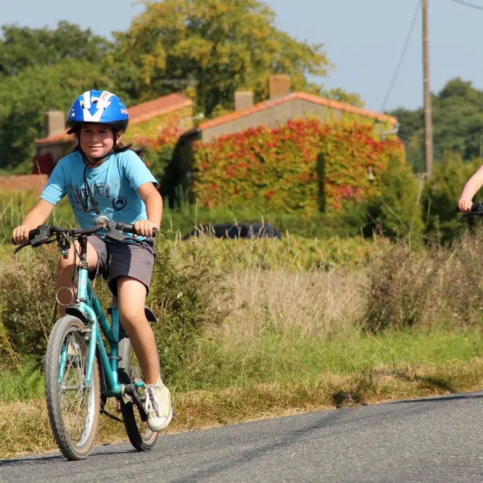 Boucle-vignoble-a-velo-ville-terroirs-mouzillon-44-ITI  (2)