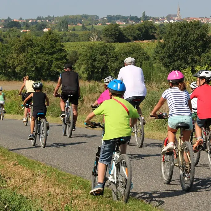 Boucle-vignoble-a-velo-ville-terroirs-mouzillon-44-ITI  (3)