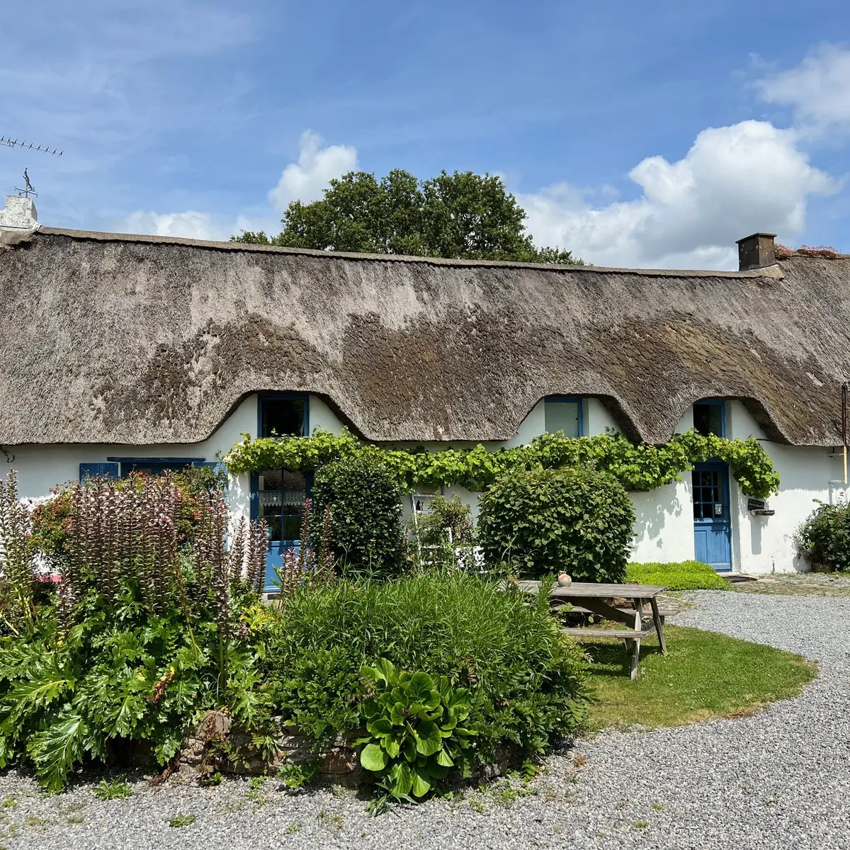 Hébergement, la chaumière des Marionnettes à la Chapelle-des-Marais