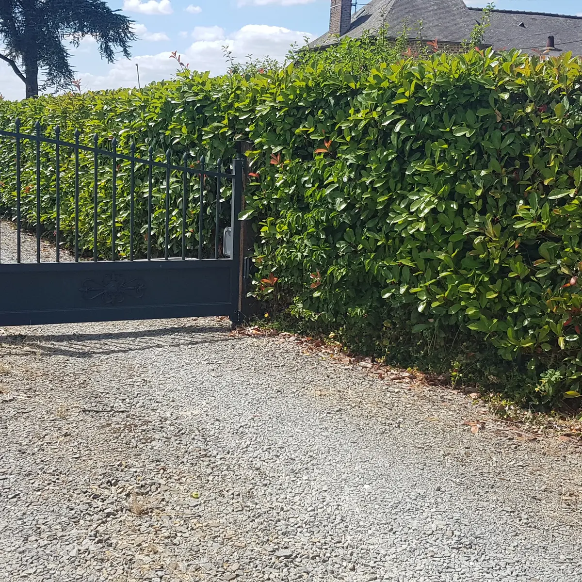 Chambre d'hôte - Ambrières-Les-Vallées 53 © Chambre d'hôte La Varenne - 5