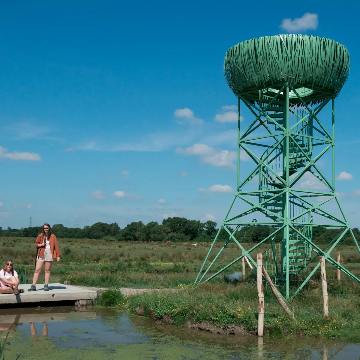 Nid-Observatoire du Marais du Syl