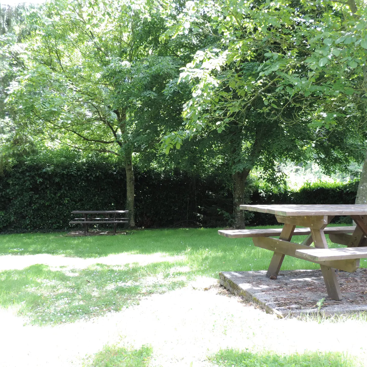 Aire de pique nique PONTMAIN (53220)