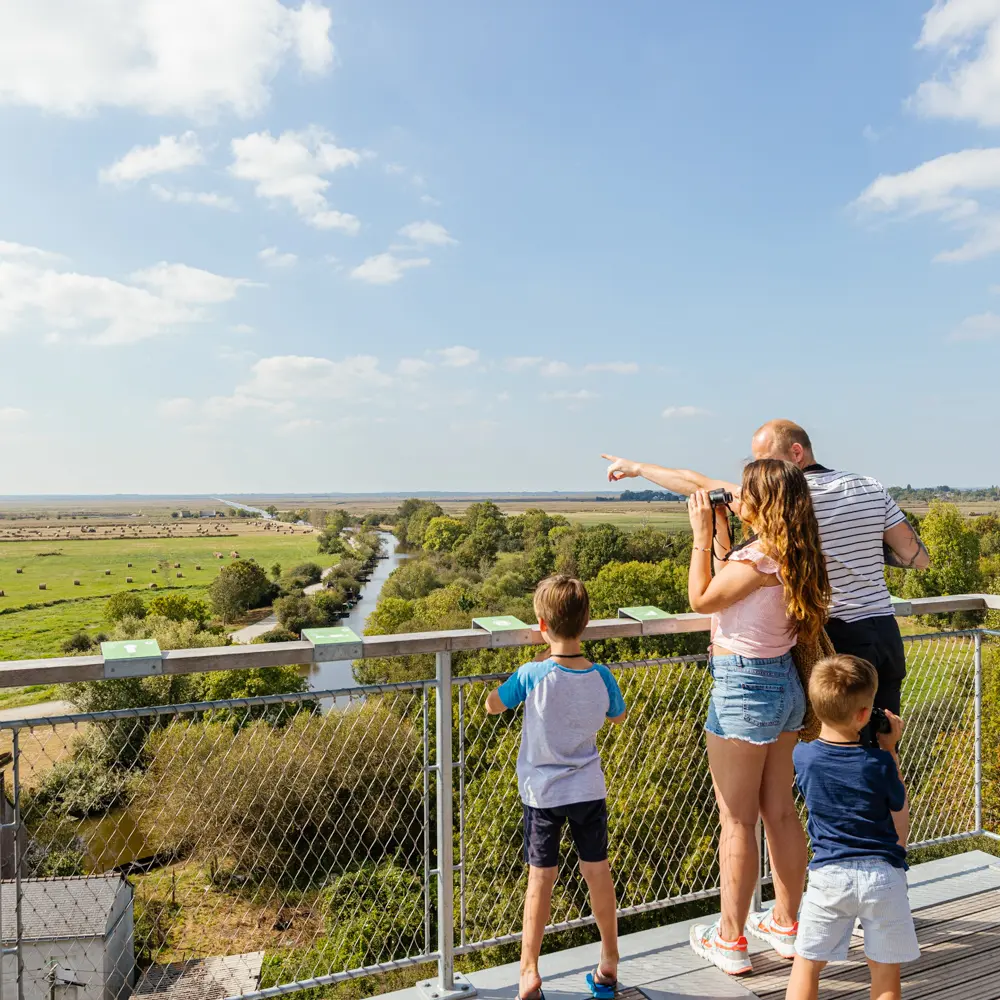 Point de vue panoramique en Brière
