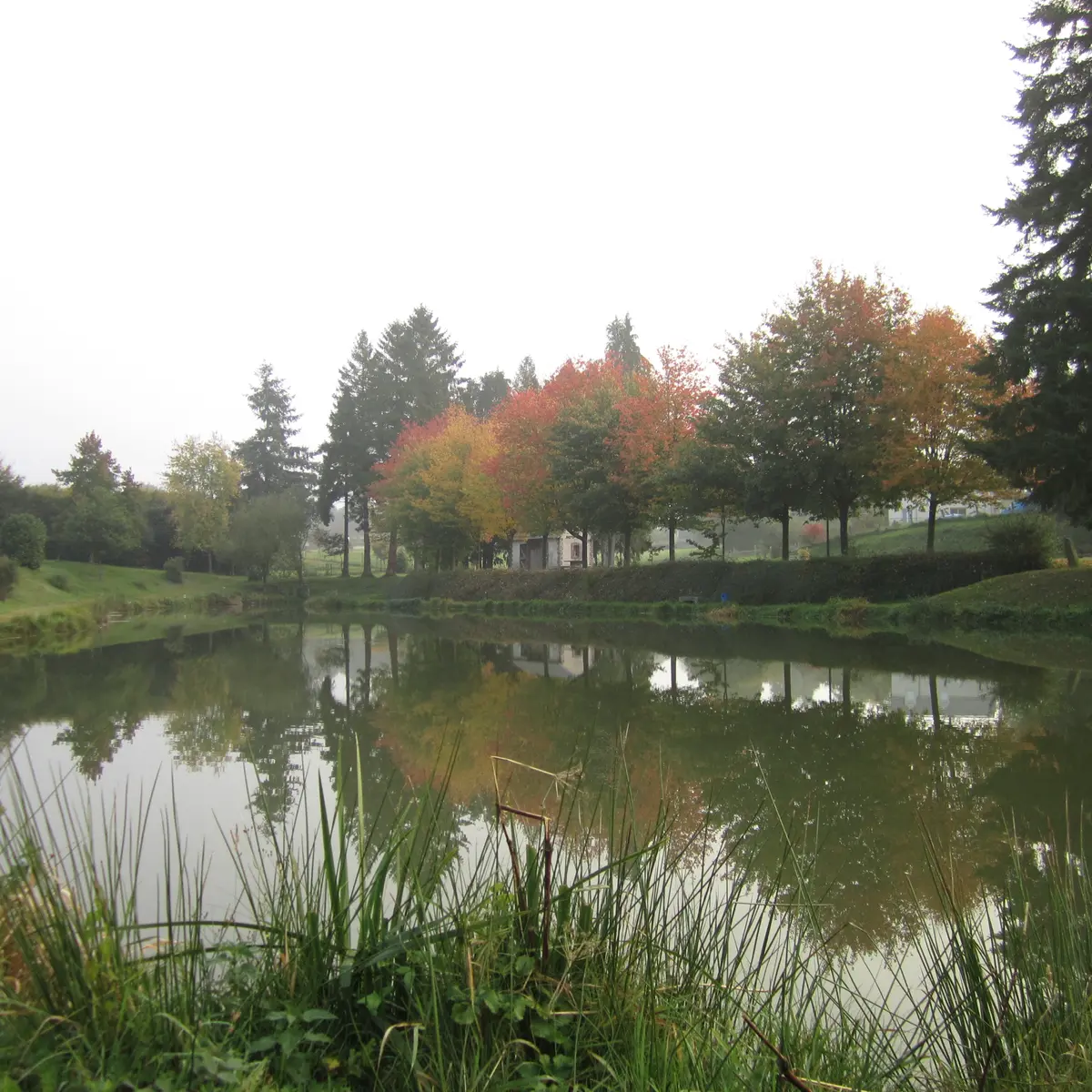 Etang Saint-mars-sur-la-futaie 3