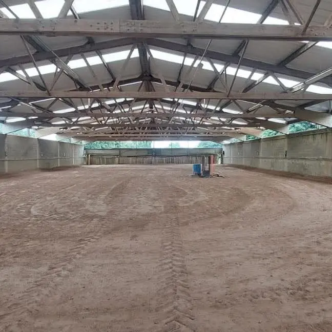 FB_IMG_1741257660930