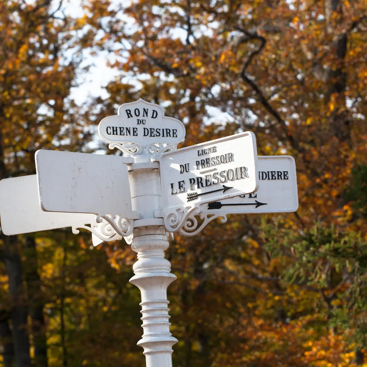 Randonnée pédestre. Jupilles