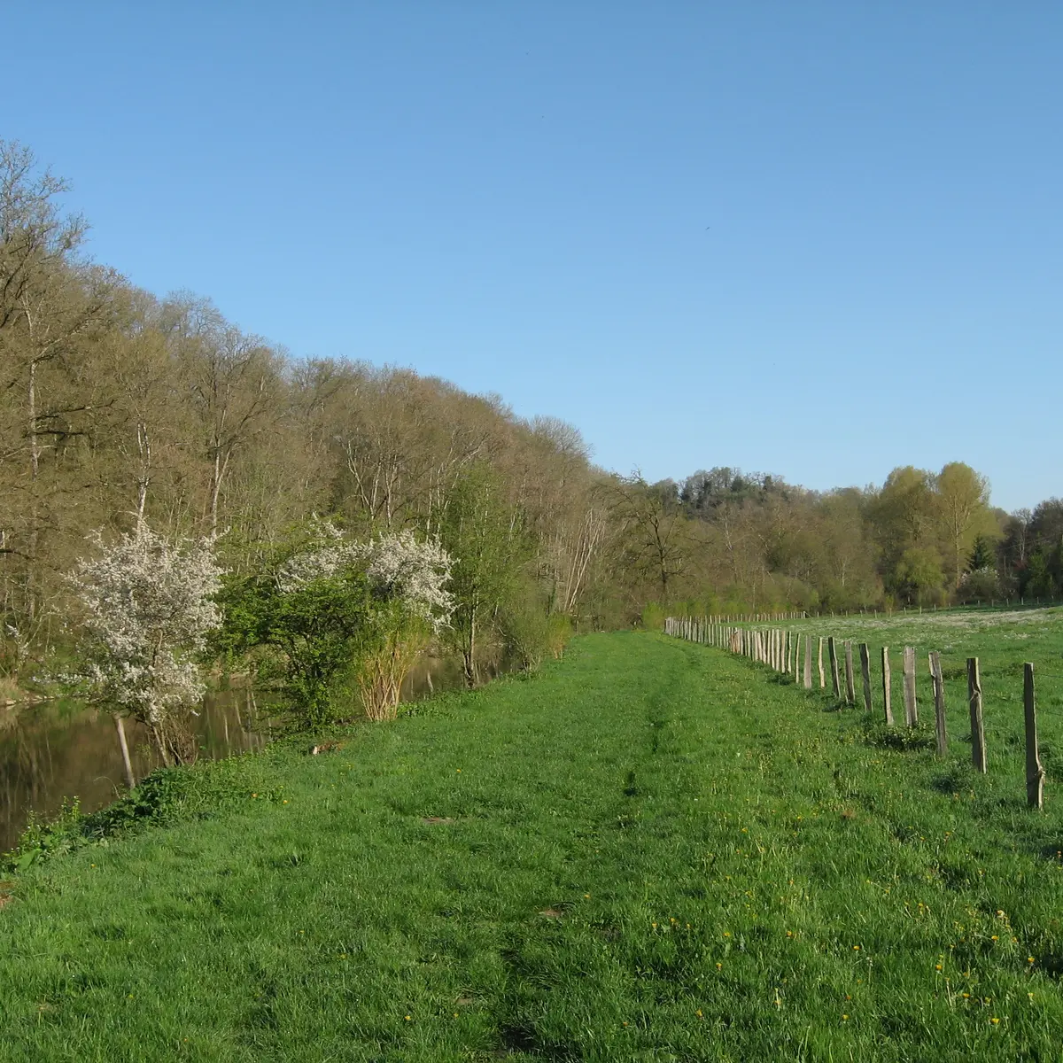 ITIPDL072V502F5X - LIBELLULE