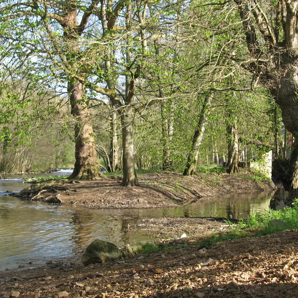 sentier-interpretation-libellule-saint-leonard-des-bois-72-iti-1
