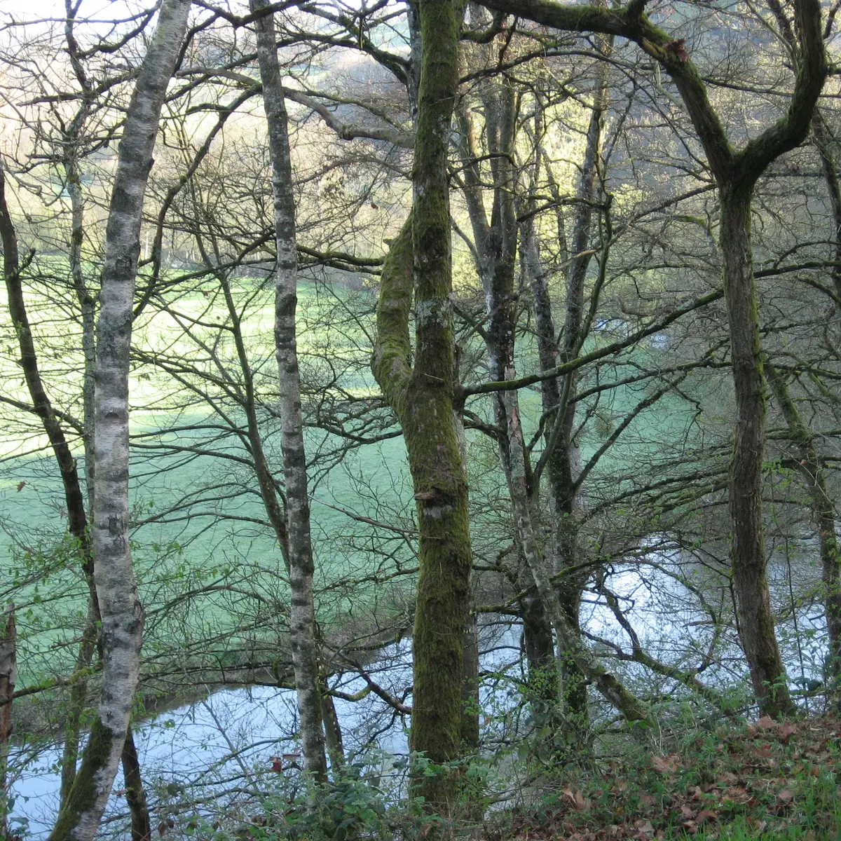 ITIPDL072V502F5X - LIBELLULE3