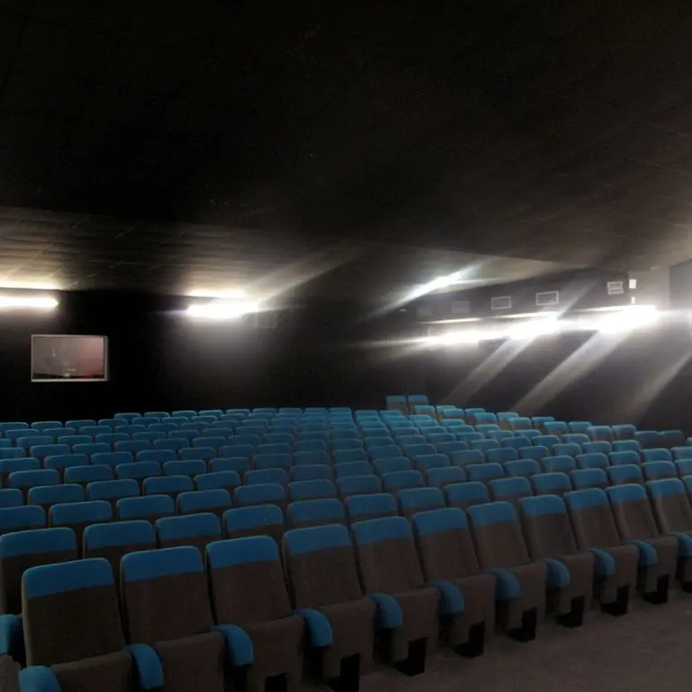 LOI-cinema-le-palace-1