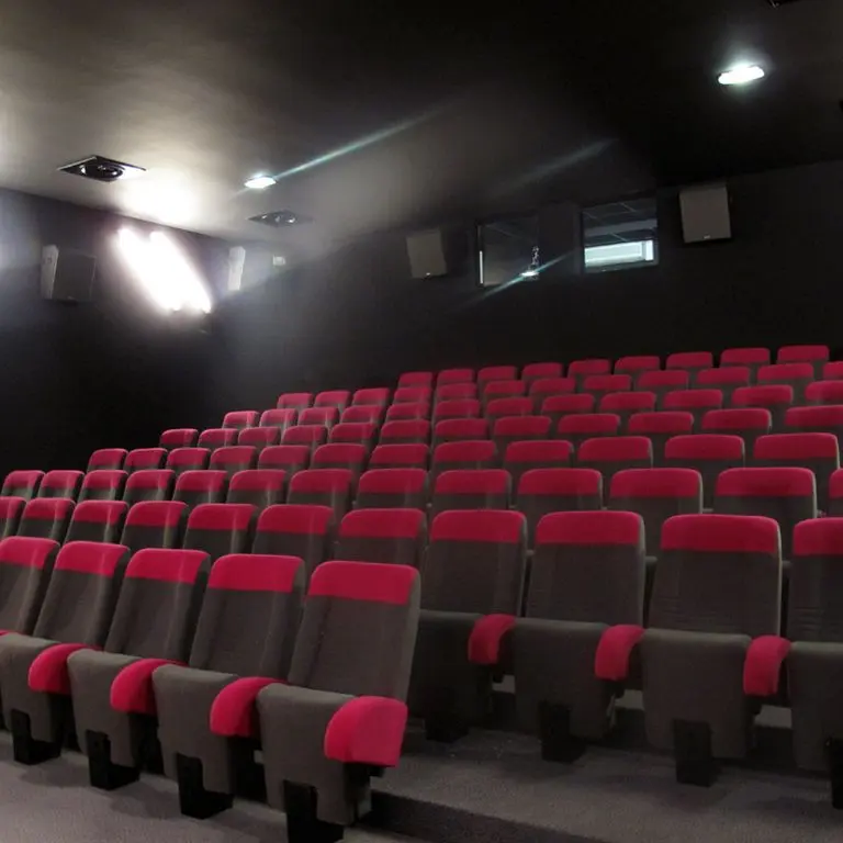 LOI-cinema-le-palace-2