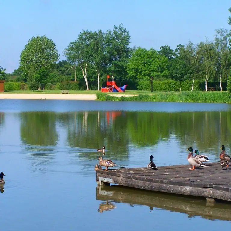 LOI-base-de-loisirs-la-chesnaie-2