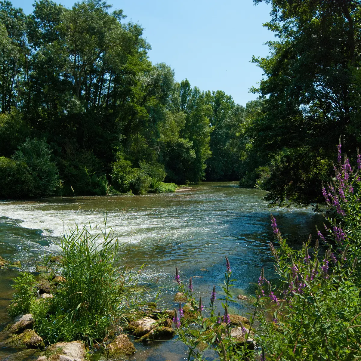 Randonnée pédestre. Le Lude