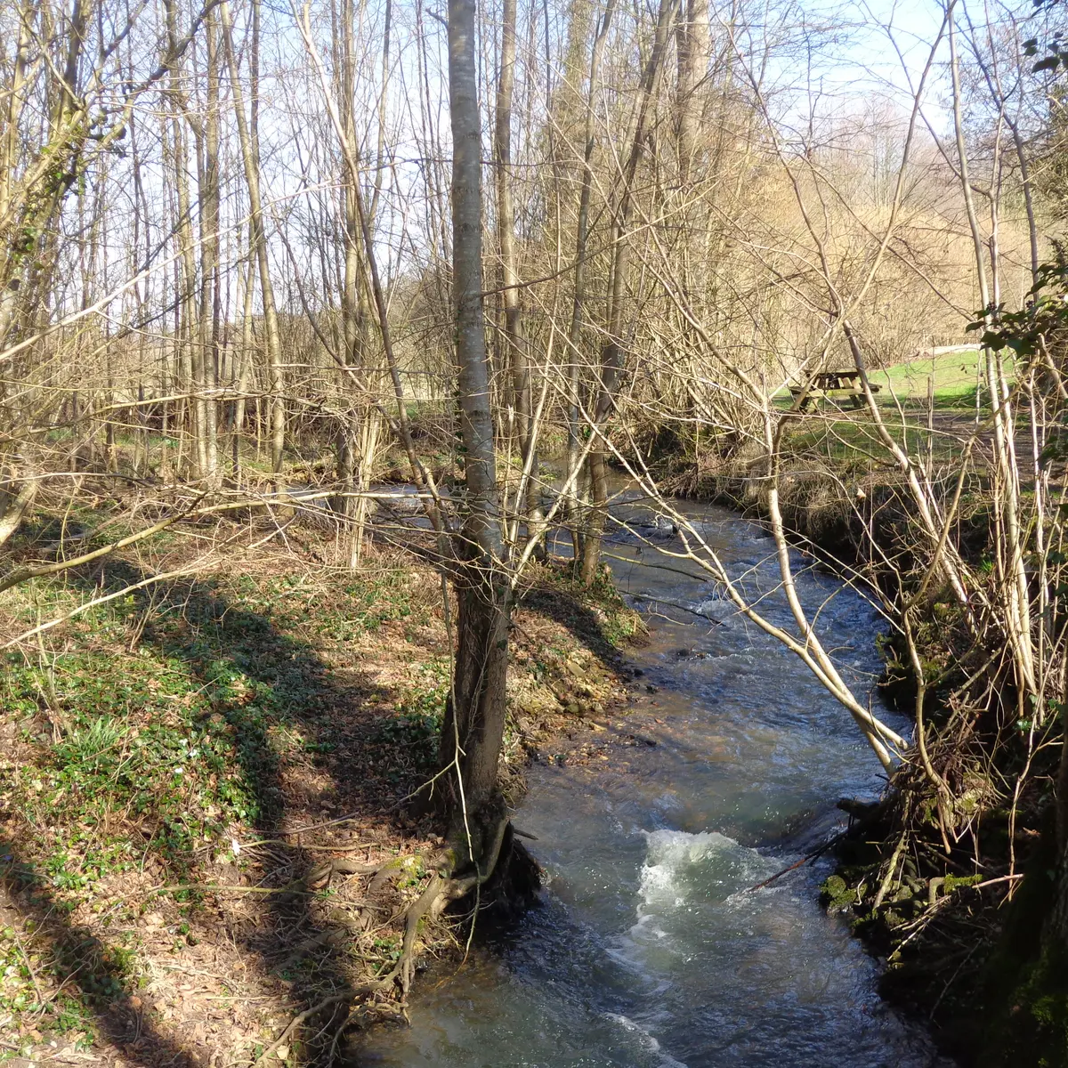 Le Moulin Banal à Vancé Le Tusson (3)