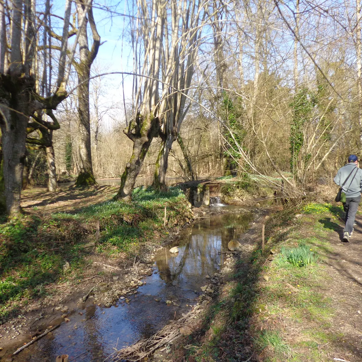 Le Moulin Banal à Vancé le Tusson