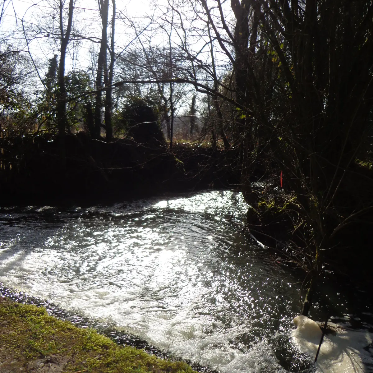 Le Moulin Guillaume LCH (4)