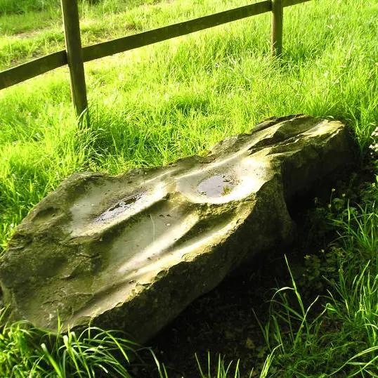 P4290864a_La_Berthelliere_polissoir