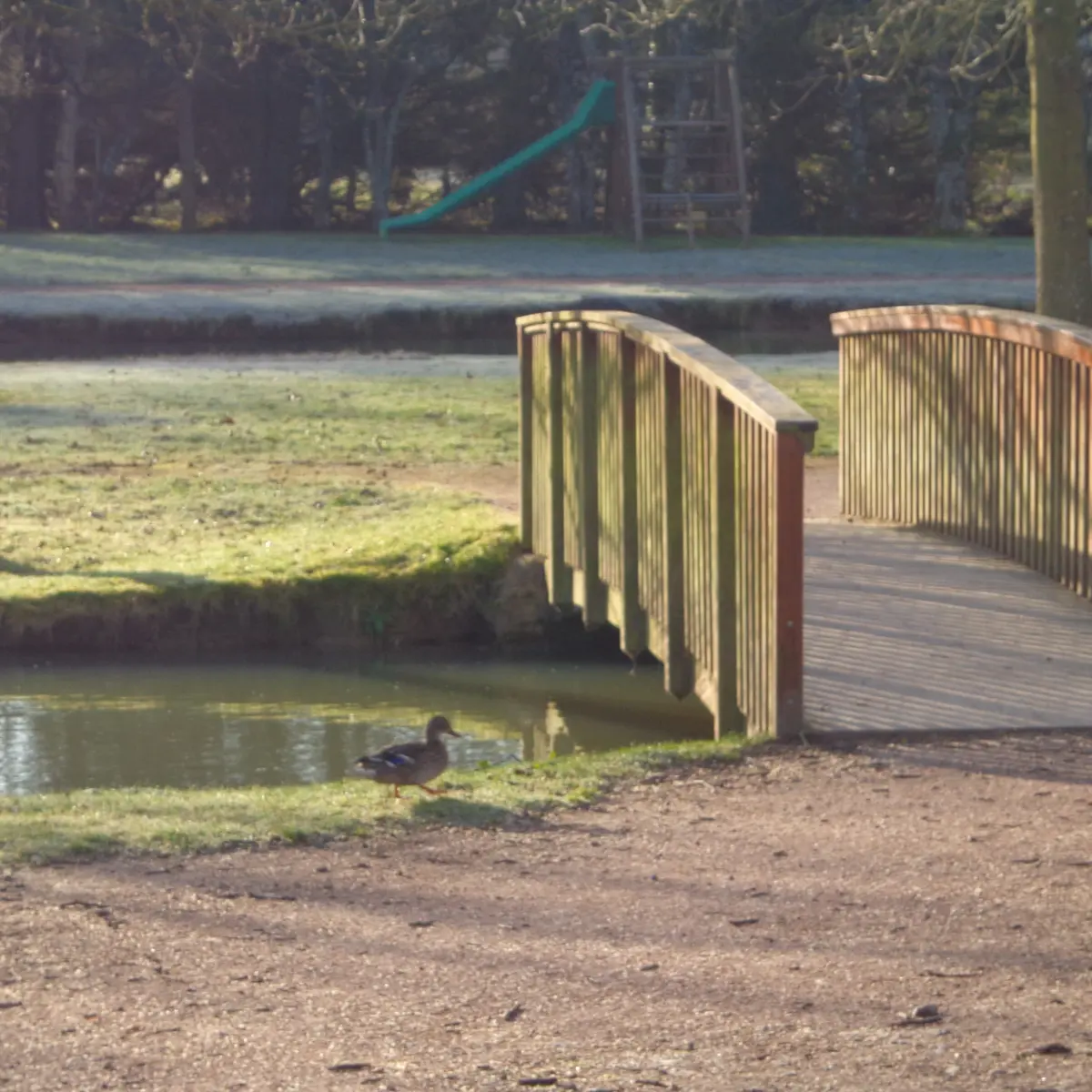 Parc Jean Moulin Saint-Calais (6)