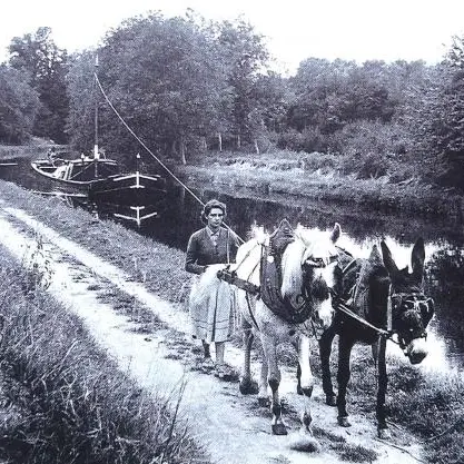 Le voyage de Gabin-mayenne-2
