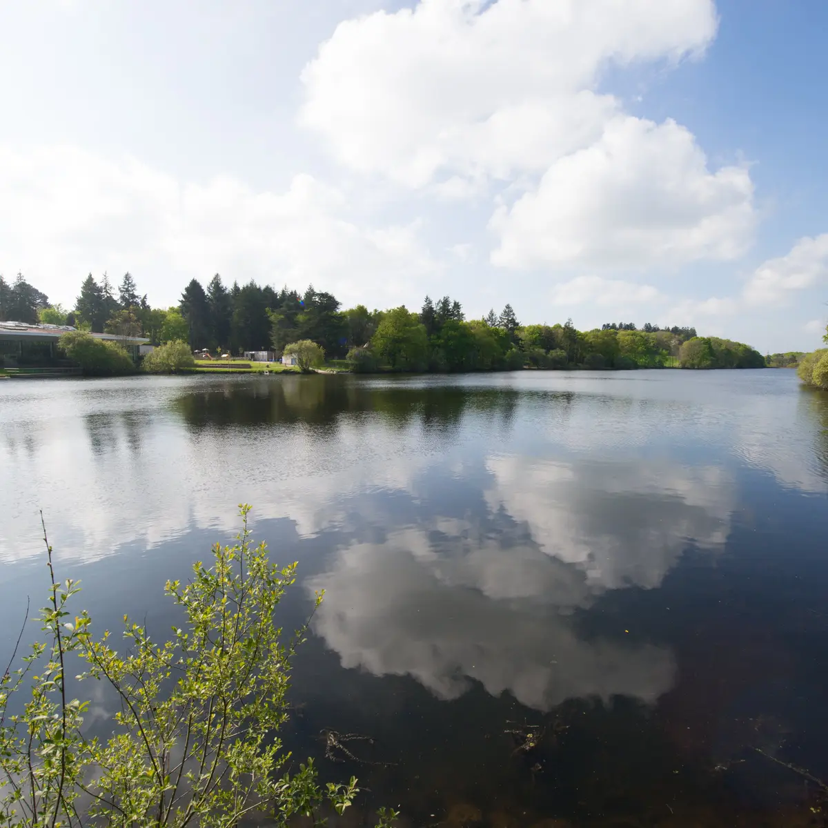 Sentier du Marais Fresnier - Savenay