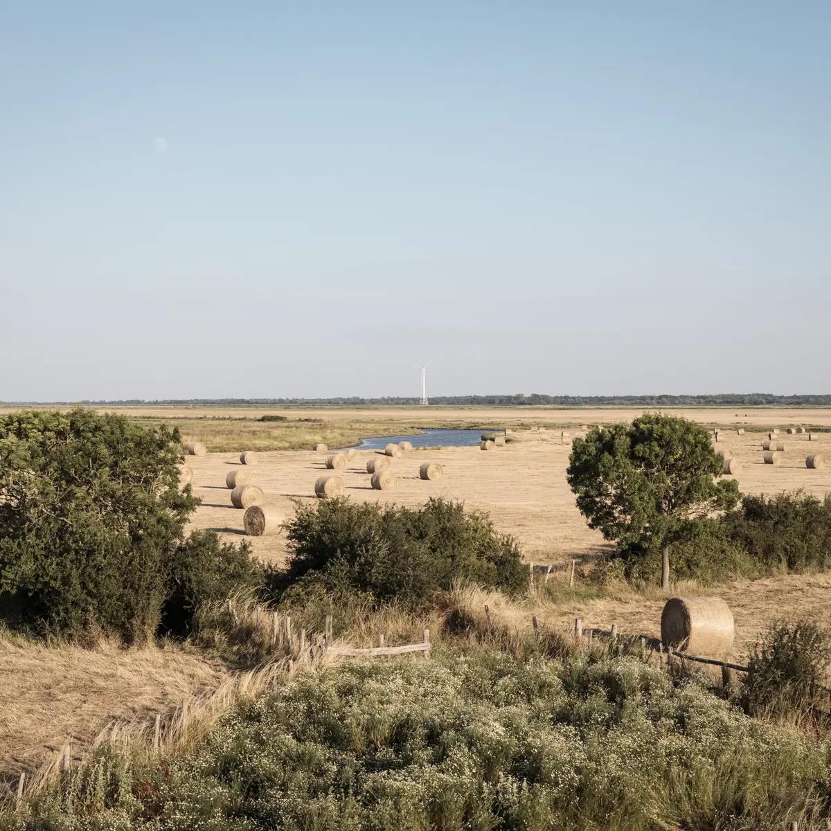 Sémaphore de la Taillée