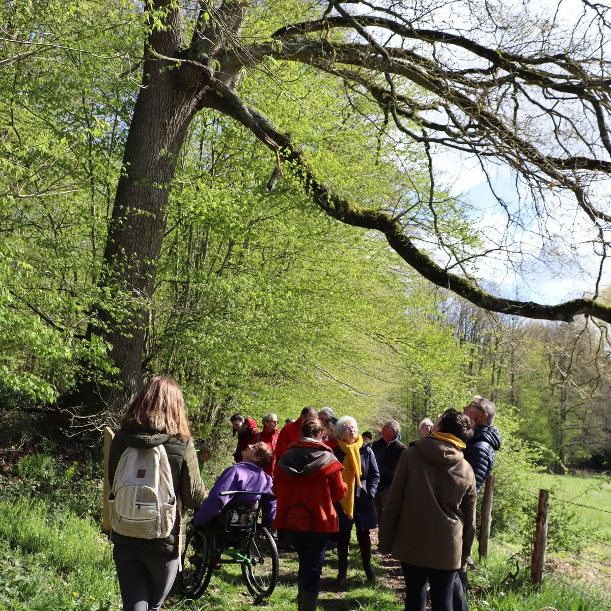 Saint Jean de la Motte CPIE (3)