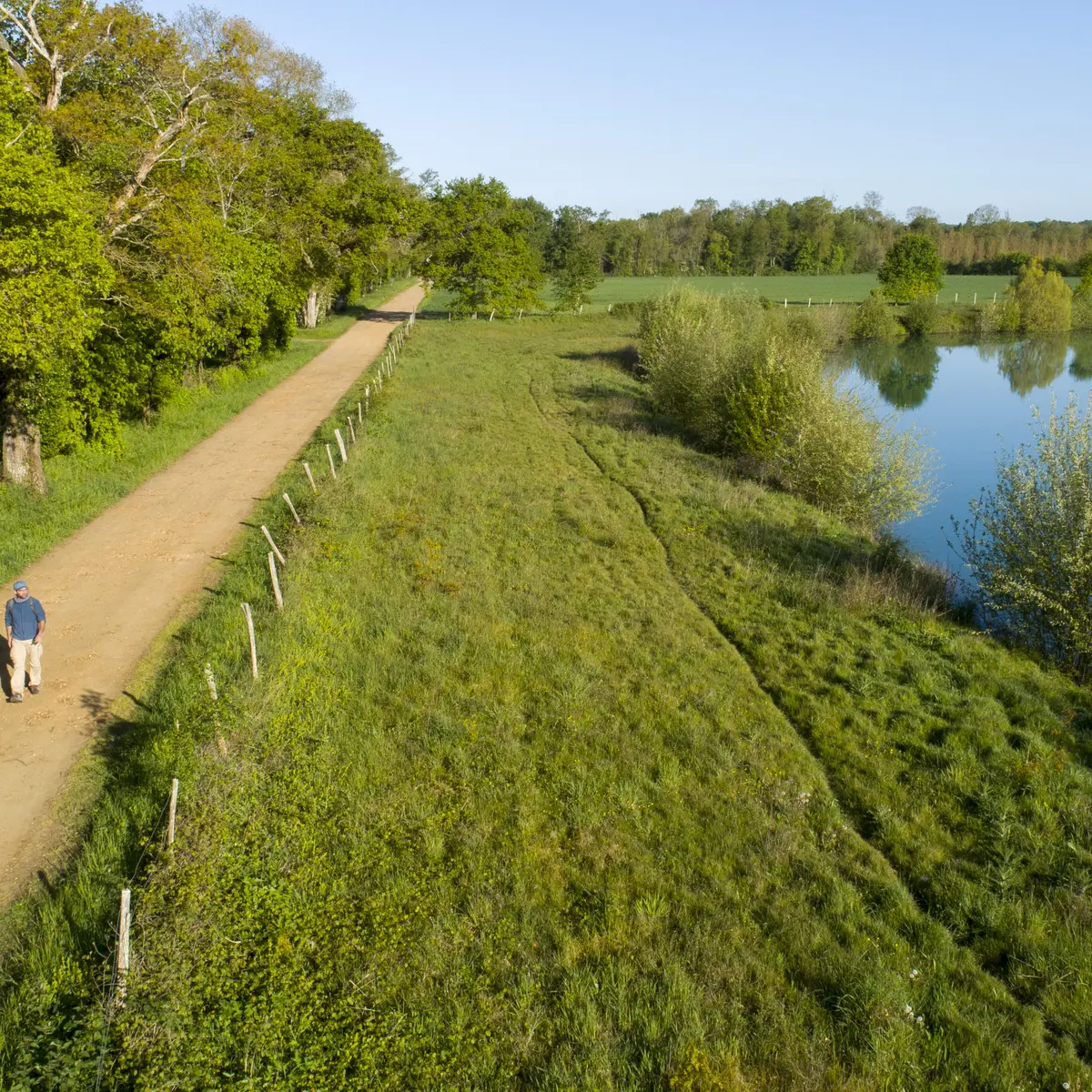 Etangs de La Bruère-sur-Loir