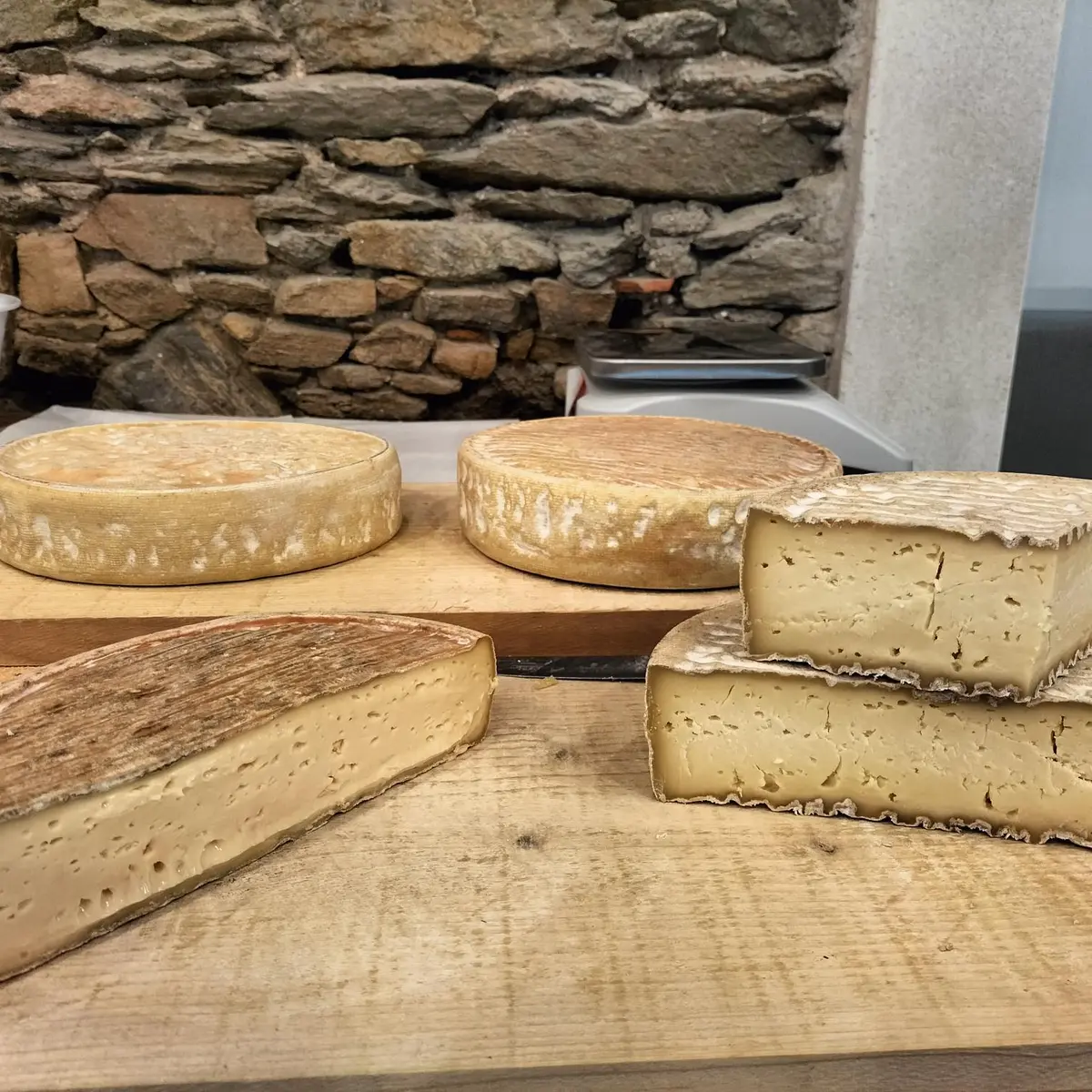 TOMME SAINTE CATHERINE