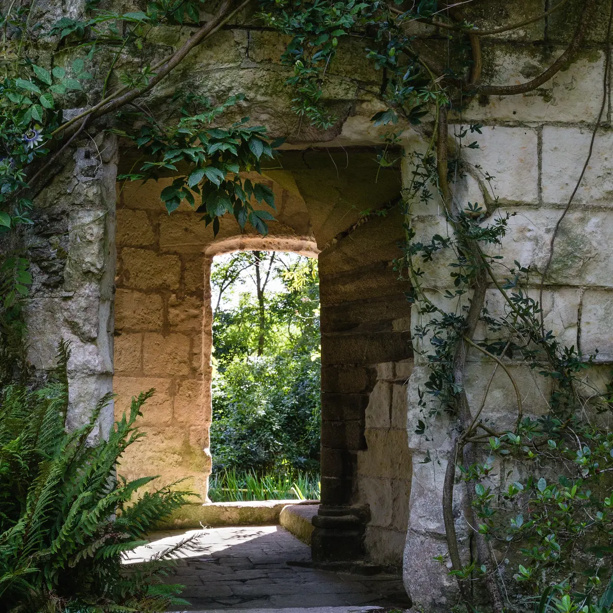 Tour du XV Château de Chasseloir_01originale @PINEAUBERNARD